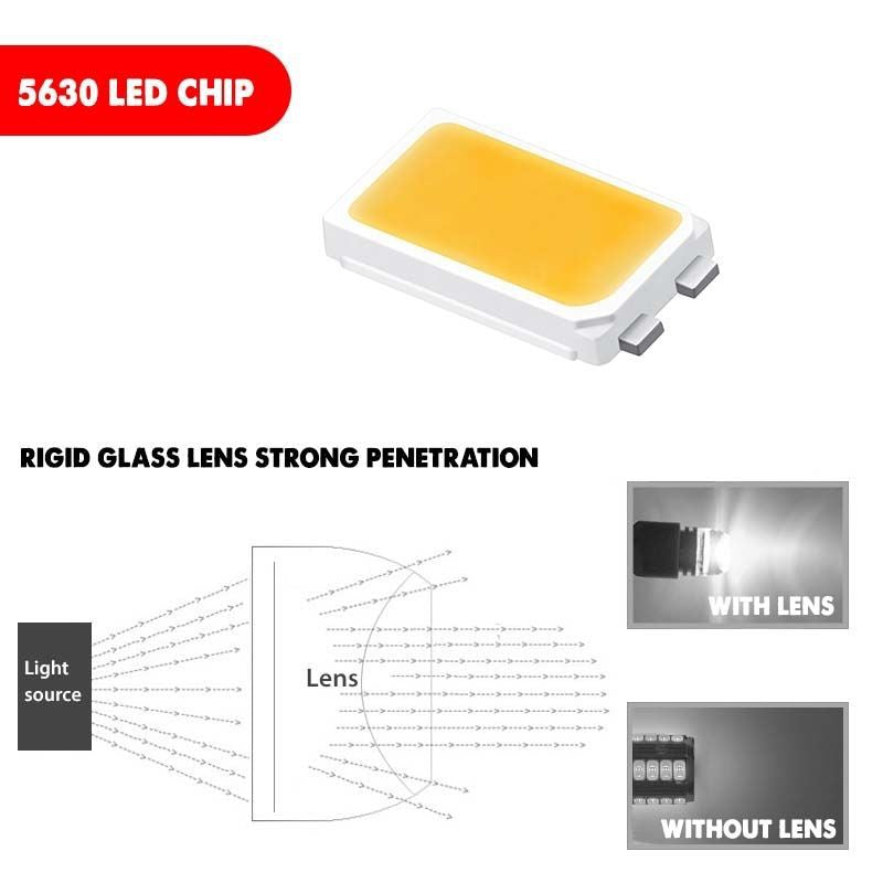 Close-up detail of LED bulb and socket for 1156/1157 compatibility