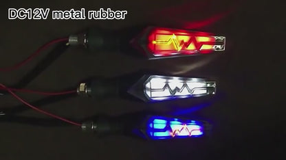 Video Demo: Installing and Using ECG LED Motorcycle Turn Signal Lights